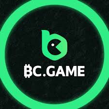 Understanding BC.Game Deposit India A Guide for Gamers